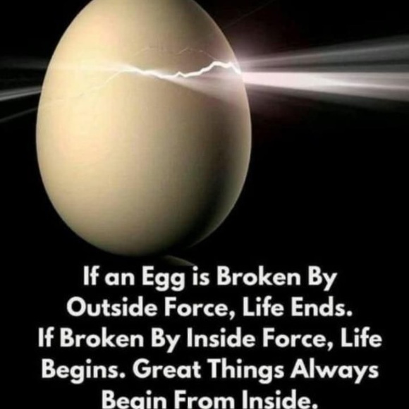 Meet your Posher, Eva - Picture 1 of 1